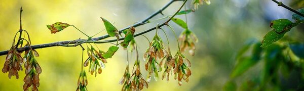 Первый осенний день в Приморье будет тёплым и солнечным