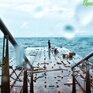 Последние выходные весны в Приморье будут пасмурными