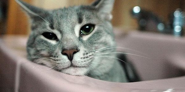 Третий этап гидравлических испытаний начинается во Владивостоке 3 июня