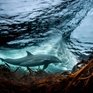 В «китовую тюрьму» в Приморье начали водить детские экскурсии