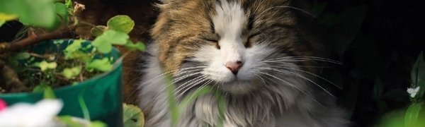 Хорошей погоды не будет: синоптики озвучили прогноз на выходные во Владивостоке