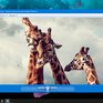 ТОП-5 программ для просмотра фото на Windows 7