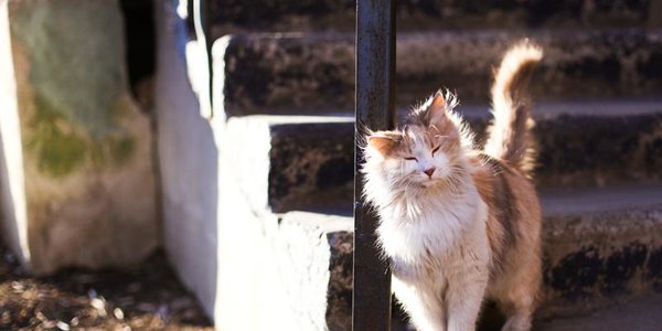 К выходным во Владивостоке потеплеет до +9 °С