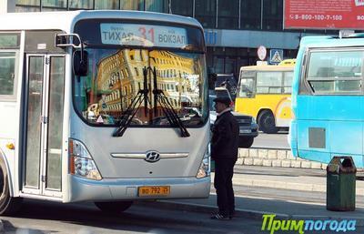 Во Владивостоке увеличили количество автобусов на маршрутах