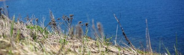 Синоптики озвучили прогноз погоды в Приморье на неделю