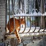 Завтра в Приморье местами пройдет небольшой снег