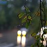 Южный циклон вечером выйдет в северо-западную часть Японского моря