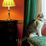 В британском королевстве новый крысолов