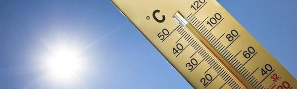 Апрель 2017 года стал вторым по теплу за 137 лет