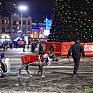 Под Новый год жителей Владивостока ждет «Сказка в городе»