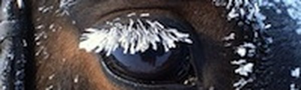 Январь в азиатской части России будет близким к климатической норме
