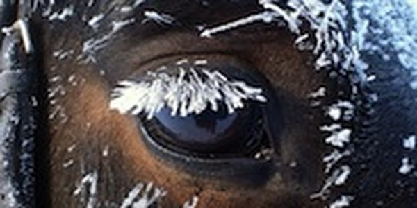 Январь в азиатской части России будет близким к климатической норме