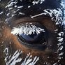 Январь в азиатской части России будет близким к климатической норме