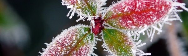 Завтра продолжится заток холодных воздушных масс