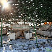 Подготовка к Новому году завершится в пятницу