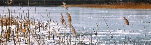 Неустойчивая погода ожидается в Приморье в начале следующей недели