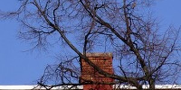 После тепла характер погоды в Приморье изменится