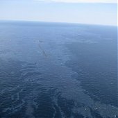 Разлив нефти в Мексиканском заливе угрожает экологической катастрофой