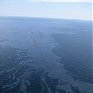 Разлив нефти в Мексиканском заливе угрожает экологической катастрофой
