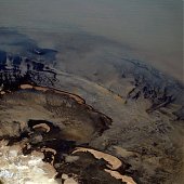 Разлив нефти в Мексиканском заливе угрожает экологической катастрофой