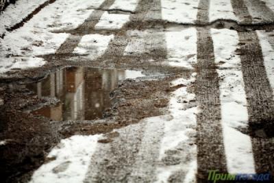 Завтра в Приморье пройдут осадки в виде дождя и мокрого снега