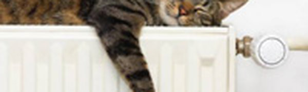 Отопление во Владивостоке отключат в воскресенье, 27 апреля