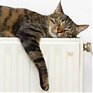 Отопление во Владивостоке отключат в воскресенье, 27 апреля