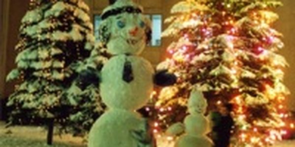 На каникулах ожидается морозная погода