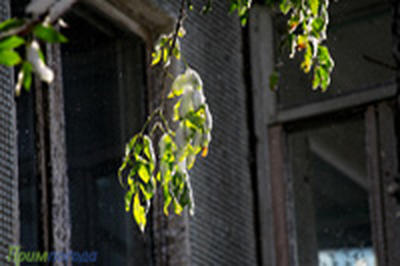 Сегодня и завтра во Владивостоке без осадков