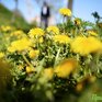 Последние выходные весны в Приморье были теплыми