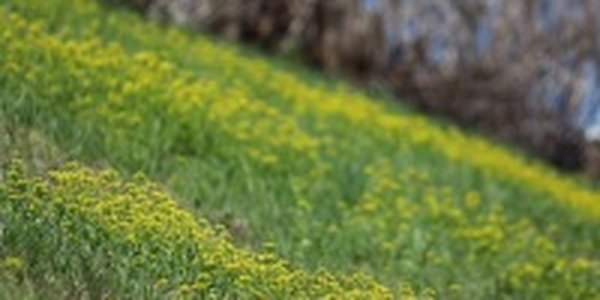 В выходные погода в Приморье улучшится