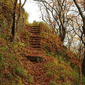 Осенние краски(ОПРОС и ФОТО)