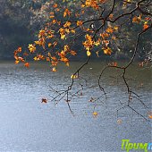Осенние краски(ОПРОС и ФОТО)