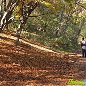 Осенние краски(ОПРОС и ФОТО)