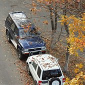 Осенние краски(ОПРОС и ФОТО)