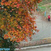 Осенние краски(ОПРОС и ФОТО)