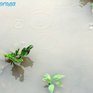 На востоке Приморья идут проливные дожди