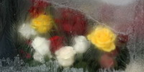 Последний день января оказался теплым