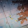 Дальневосточное лето: в Приморье снова морось и туманы