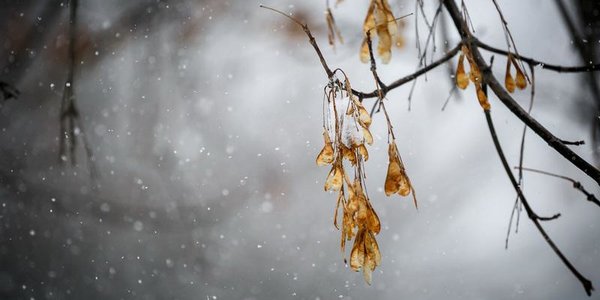 Предстоящая непогода в Приморье задержится как минимум на сутки