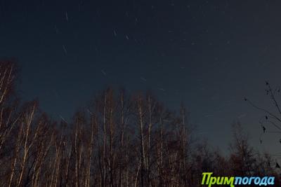 Ночью температура в Приморье опустилась до −6 °C Ночью температура в Приморье опустилась до −6 °C
