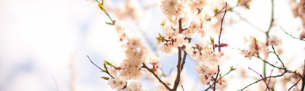 Праздничные выходные в Приморье будут по-летнему теплыми