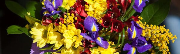 Переменчивая погода: подробный прогноз на праздничные выходные в Приморье