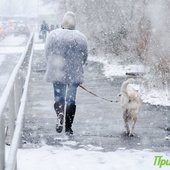 В пятницу во Владивостоке выпала половина декадной нормы снега