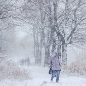 В пятницу во Владивостоке выпала половина декадной нормы снега