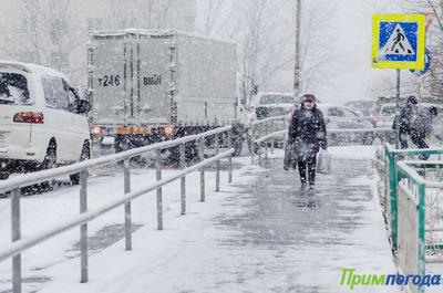 В пятницу во Владивостоке выпала половина декадной нормы снега