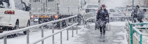 В пятницу во Владивостоке выпала половина декадной нормы снега