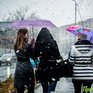 В середине недели в Приморье возможен снег с дождём