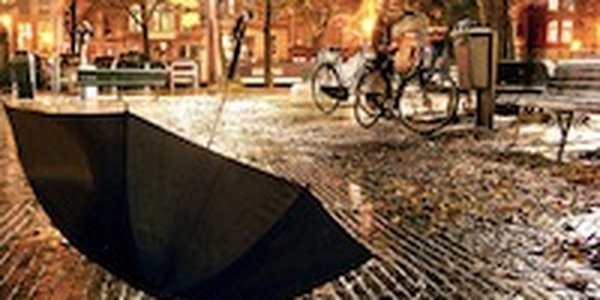 На выходных в Приморье будет дождливо и прохладно