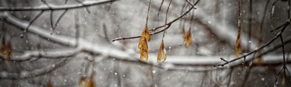 Снег во Владивостоке прекратится ночью